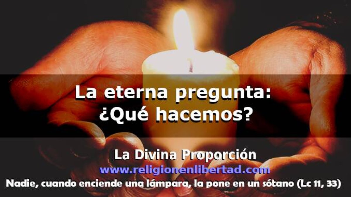 ¿Qué podemos hacer?