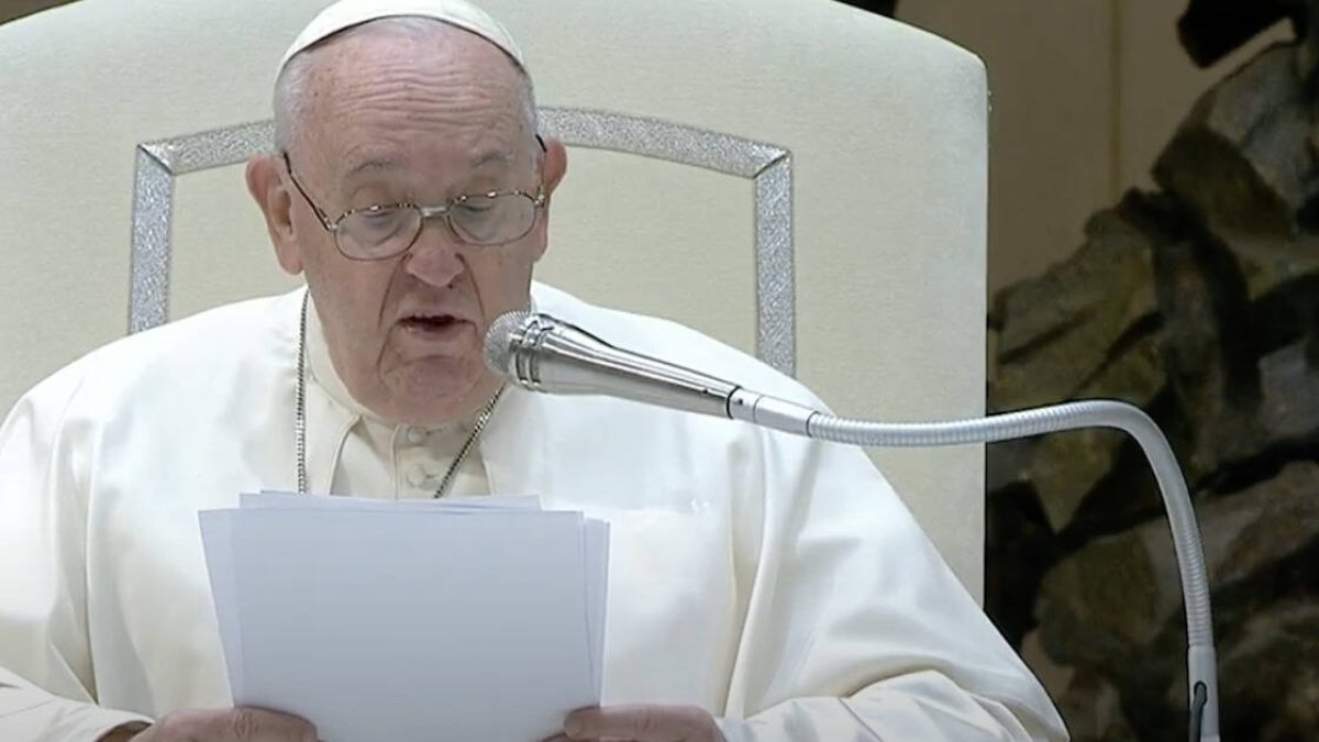 El Papa celebró este miércoles 18 de enero en el Aula Pablo VI del Vaticano la habitual Audiencia General: 