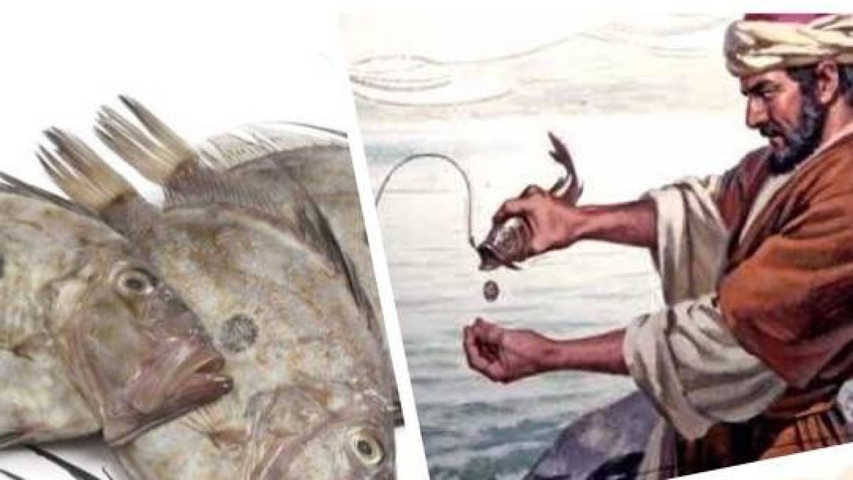 Hoy el reto del amor es que muestres “tu mancha”.