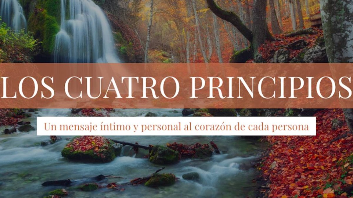 Los 4 Principios
