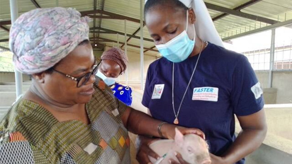 Sor Christabel -con mascarilla- sostiene un cerdito que vacuna su superior, Sor Rosalia Sakayombo, en su granja-escuela premiada