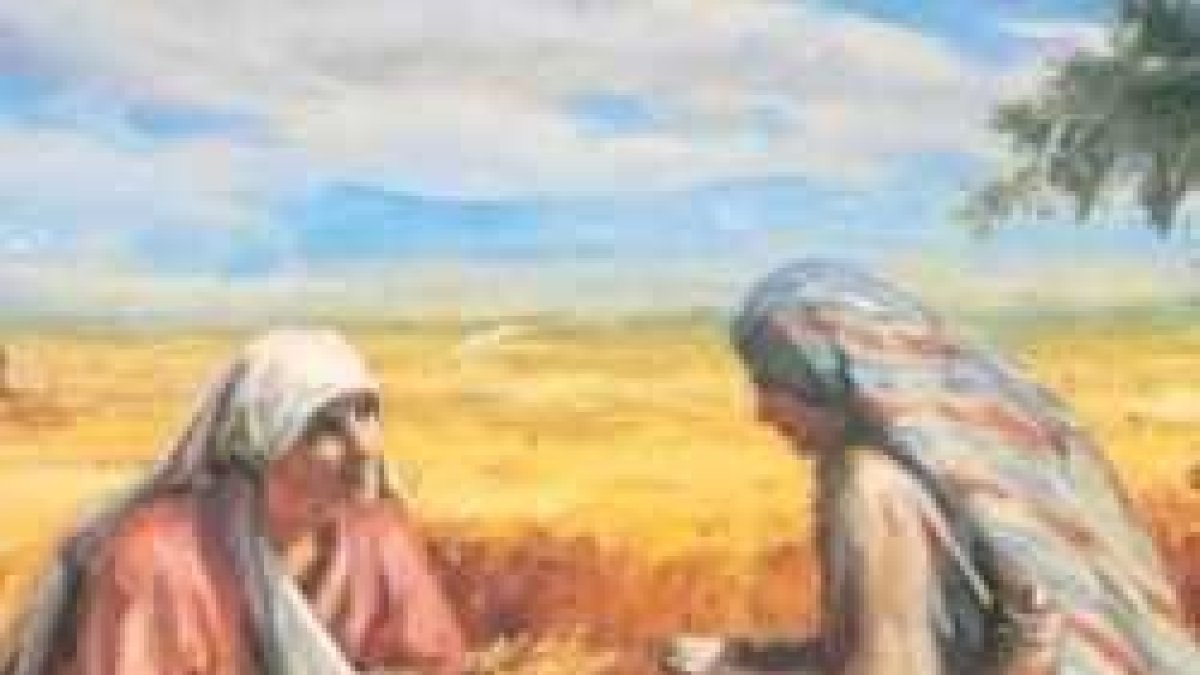 La tierra va produciendo... la espiga, el grano