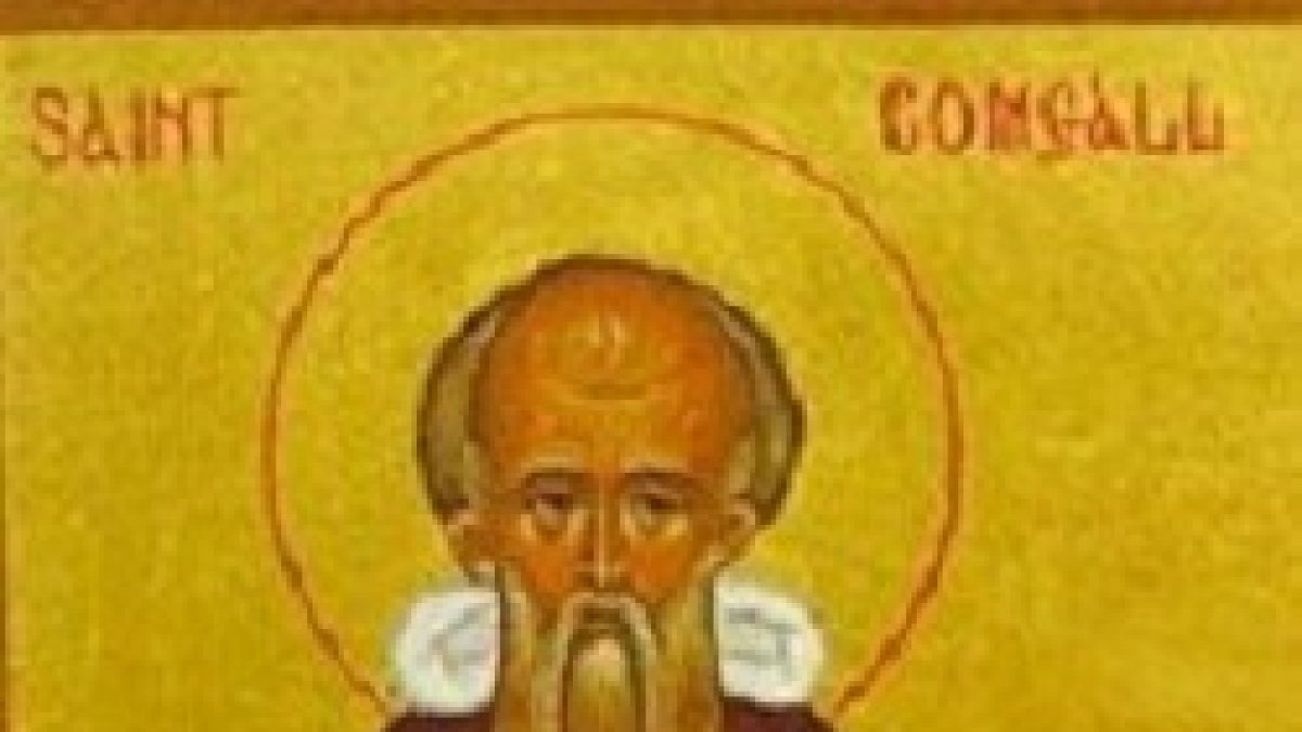 San Comgall.