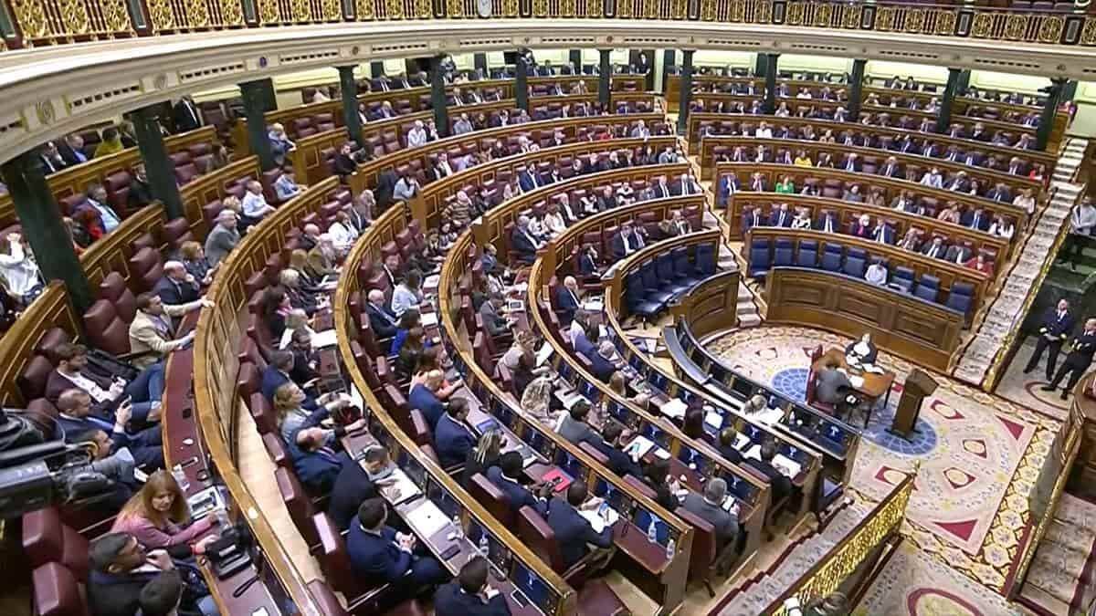 Las Cortes españolas están aprobando leyes con 'prisas atolondradas' de una gran 'carga ideológica totalitaria' y que forman parte de 'una batalla camuflada al eterno proyecto del Creador y a la tradición antropológica cristiana'.