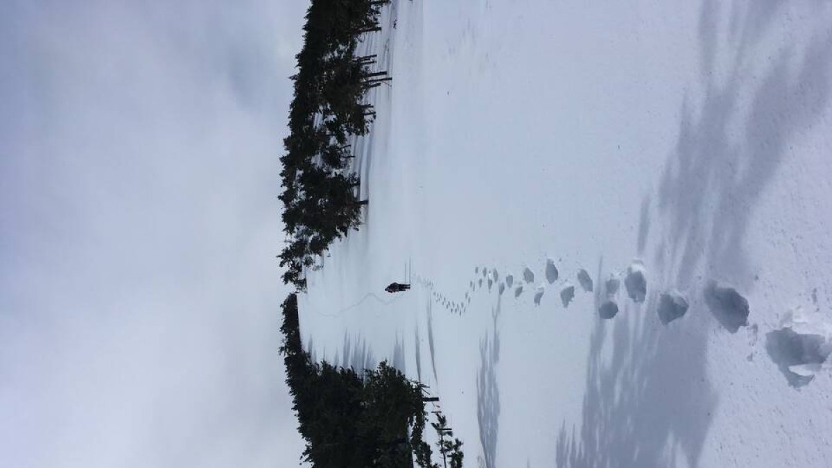 UN LUJO AL ALCANCE DE TODOS