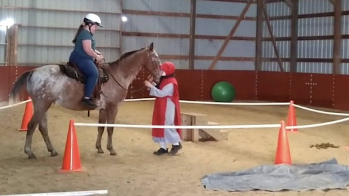 A través de esta terapia, las personas aprenden que hay unos límites, que tienen que respetar a los demás. Los animales enfermos se recuperan y los niños experimentan la libertad, la diversión y el juego.