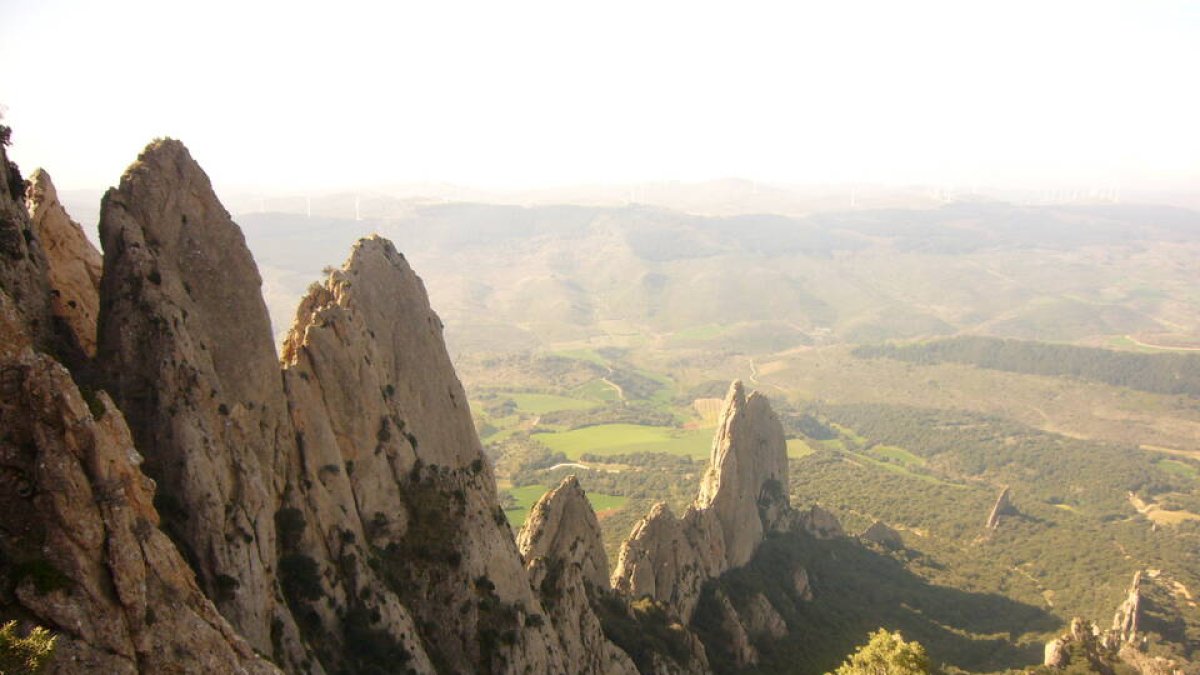 EL PENSAMIENTO “PRET A PORTER”