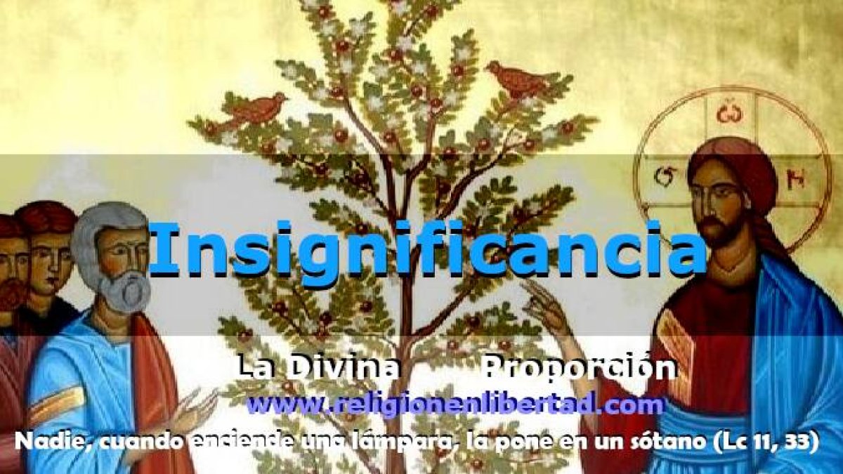 Insignificancia, humildad