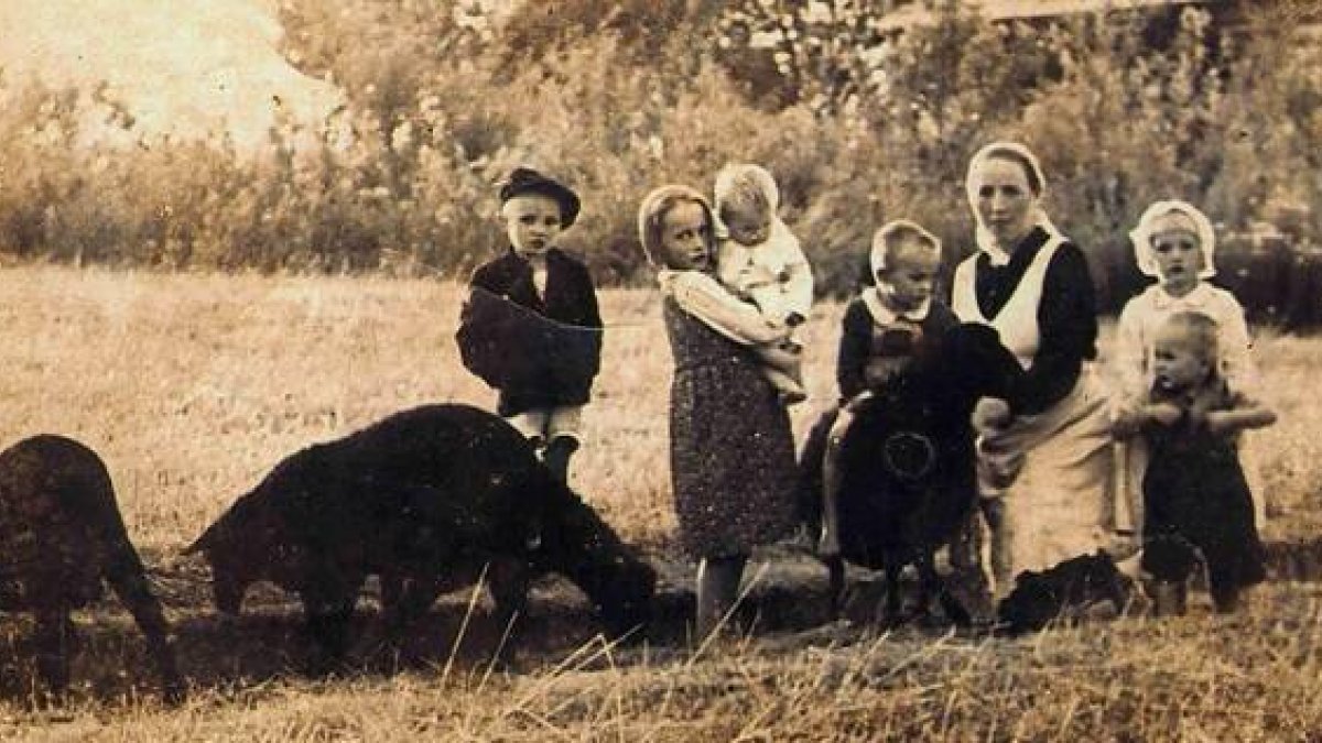 Los pequeños tenían entre uno y ocho años. Uno de ellos fue el niño dado a luz por Wiktoria Ulma en el momento del martirio.