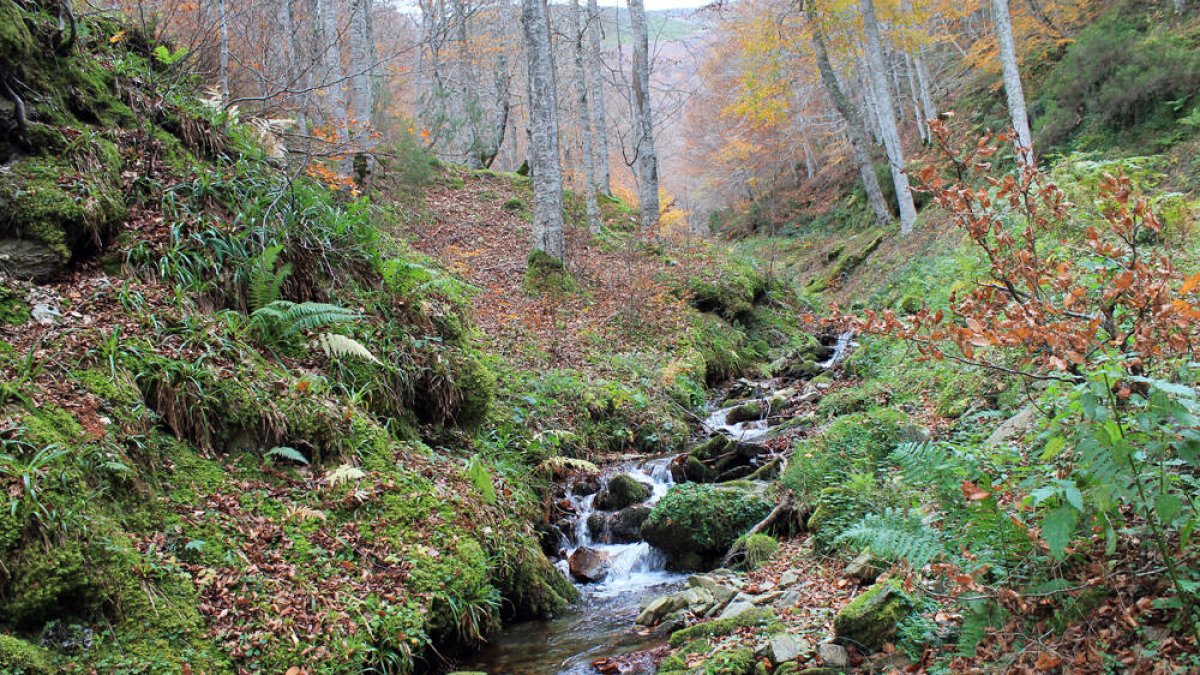 Una propuesta de viaje en vacaciones