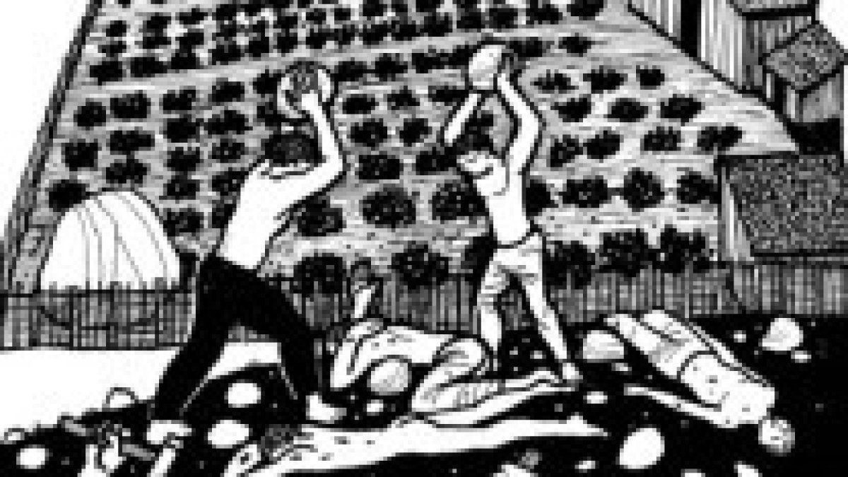 Venid, lo matamos y nos...