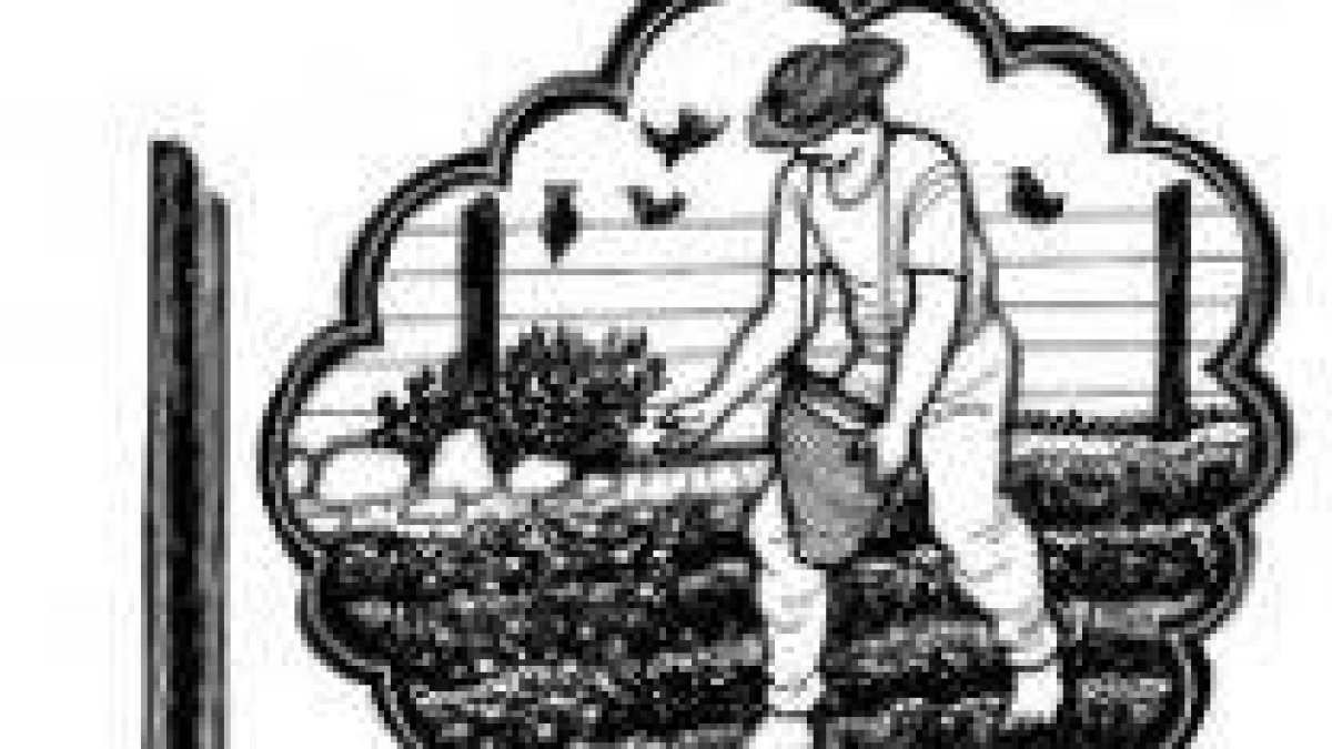 Los afanes de la vida ahogan la semilla