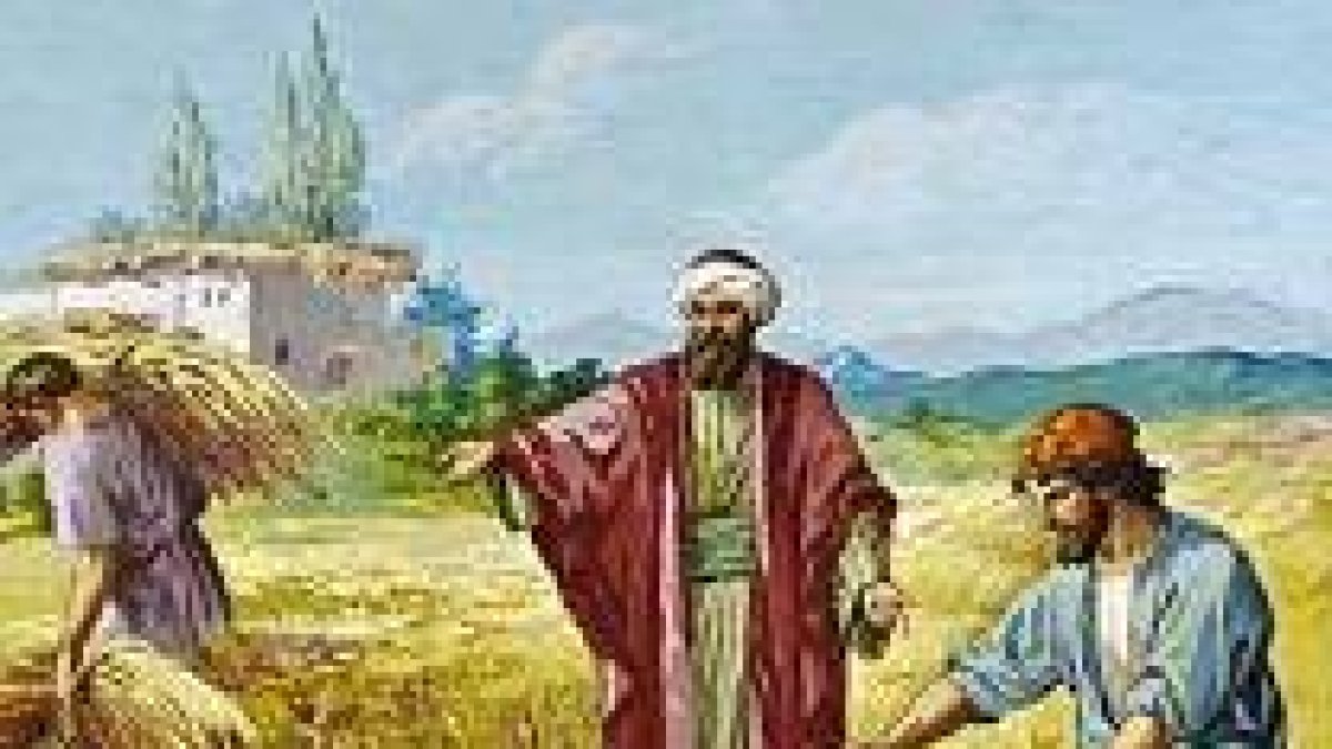 Campesinos separando trigo de la cizaña