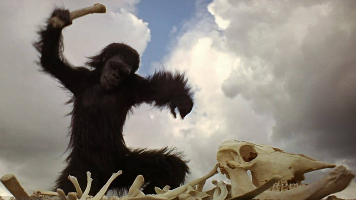 La célebre escena del primate que descubre que puede utilizar un hueso como arma, en '2001: Una odisea del espacio' (1968) de Stanley Kubrick.