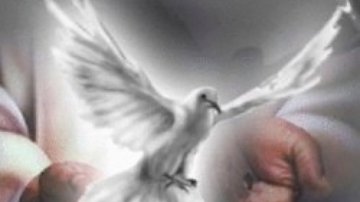 El Espíritu Santo os enseñará...