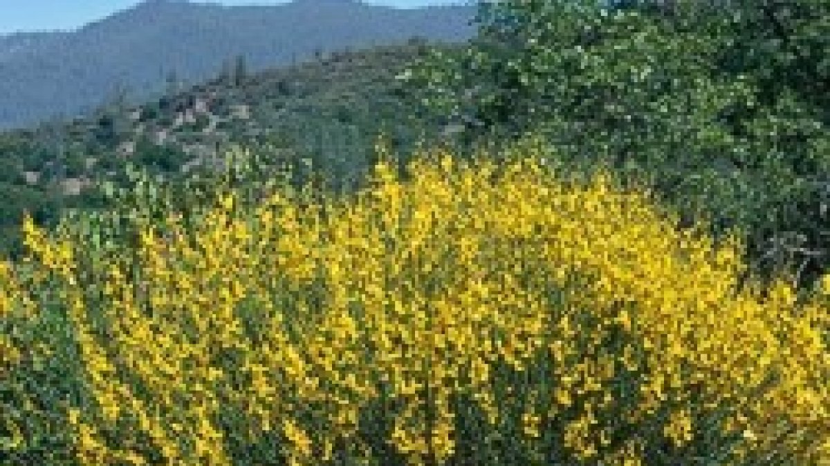 ...un hombre toma y siembra en su huerto..