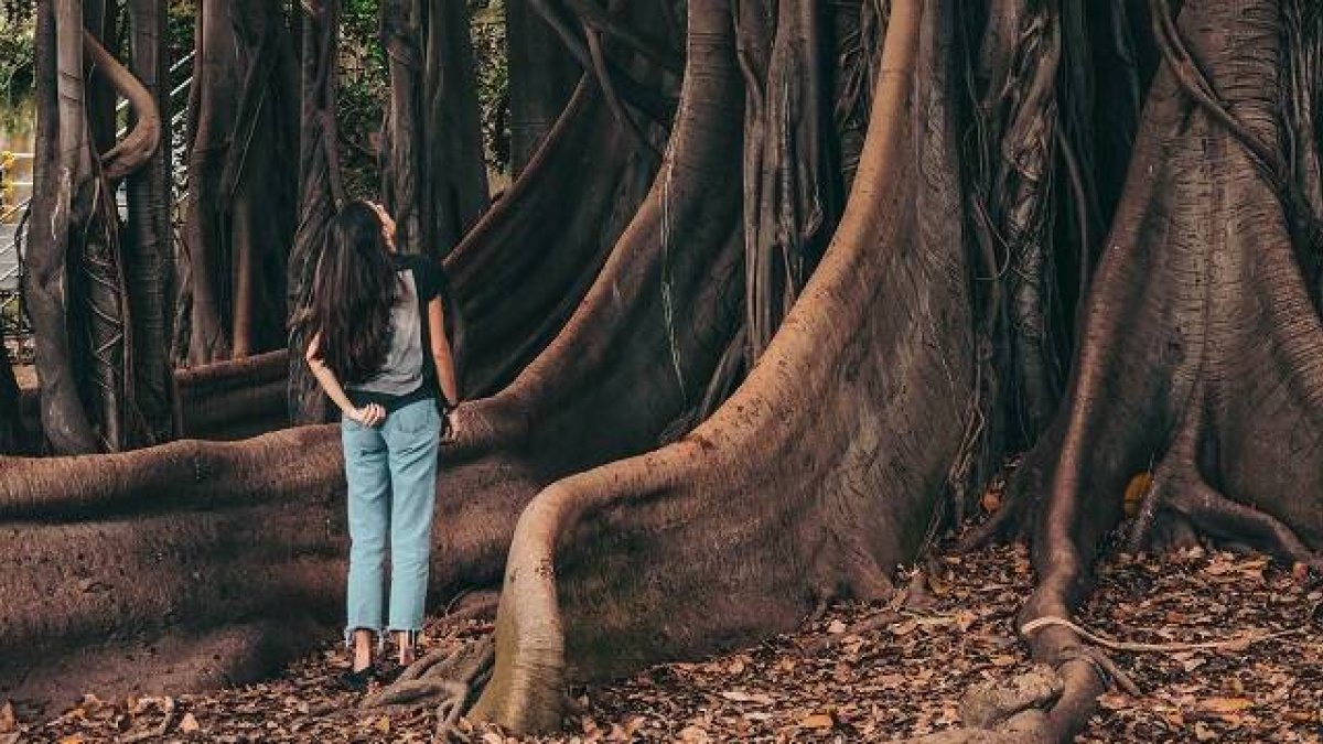 Una joven entre grandes raíces mira a lo alto, frutos lejanos... como la Iglesia - foto de Cristina Gottardi en Unsplash