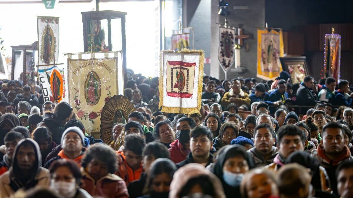 Tras las apariciones de la Virgen de Guadalupe en el cerro Tepeyac, millones se convirtieron: allí se obraron impresionantes milagros, pero no fueron los únicos ni los últimos de esta poderosa advocación.