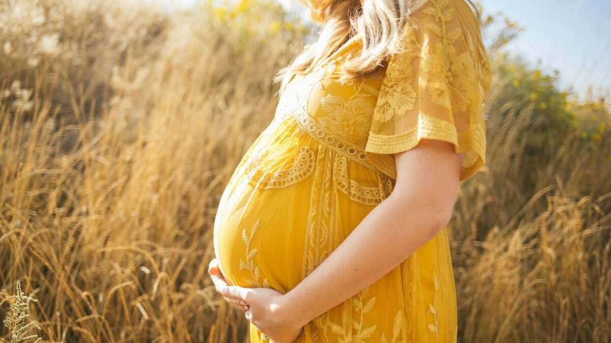 La organización provida Life Advancement Group recoge una novedosa idea para las agrupaciones de rescates, como es adaptar la estrategia a las necesidades de las nuevas generaciones (Foto: Unsplash / Anna Hecker).