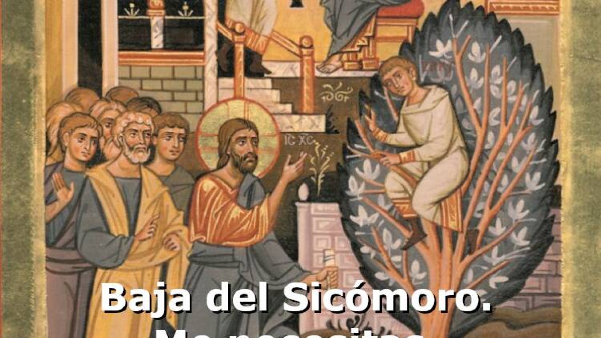 Baja del Sicómoro