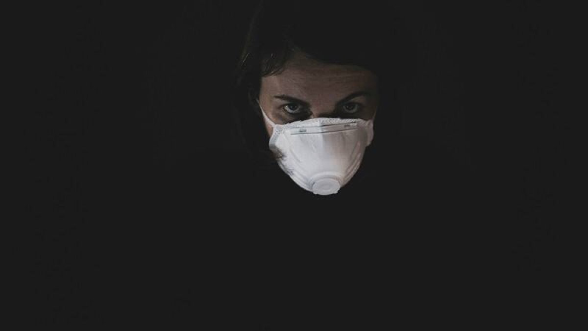 Practicar eutanasias tiene un efecto psíquico en el eutanasiador, un resquemor se acumula, y algo oscuro - foto de Engin Akyurt en Unsplash