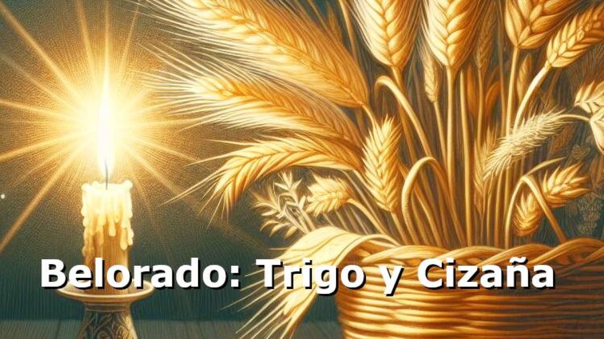 Trigo y cizaña... esperanza