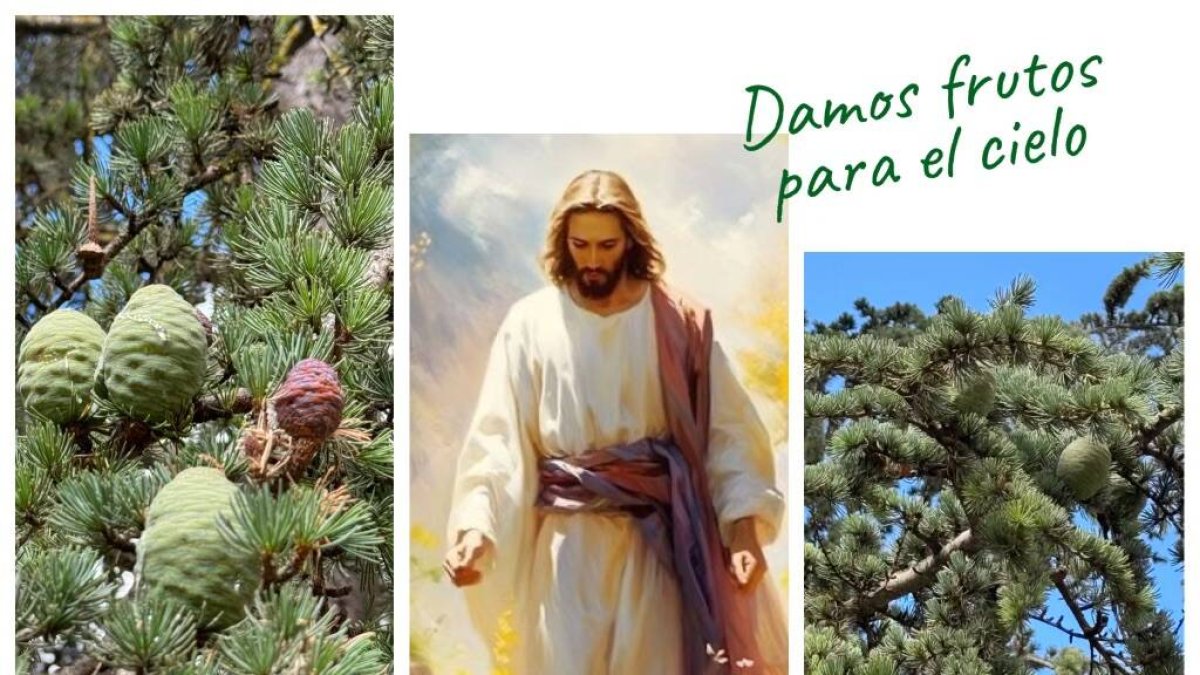 Hoy el reto del amor es disfrutar de lo que a nuestros ojos son momentos menos productivos
