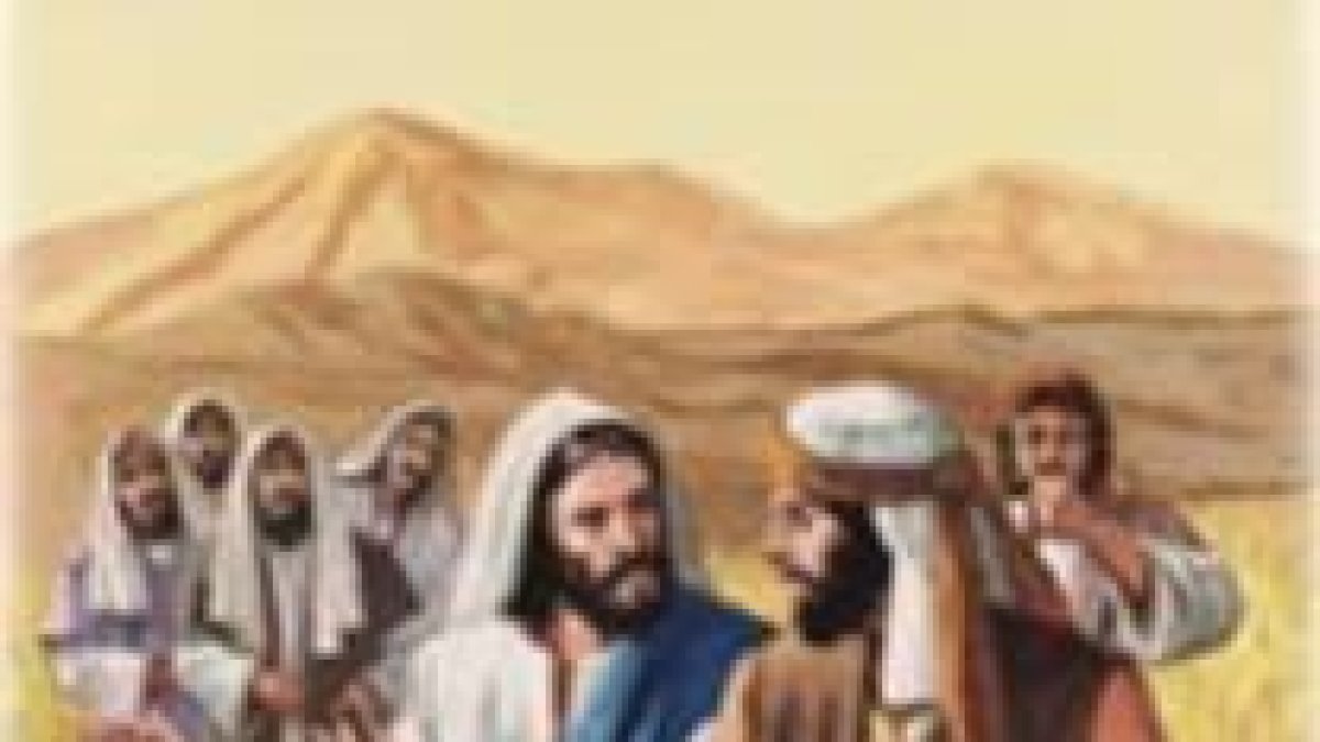 Arrancaban espigas... se comían el grano.