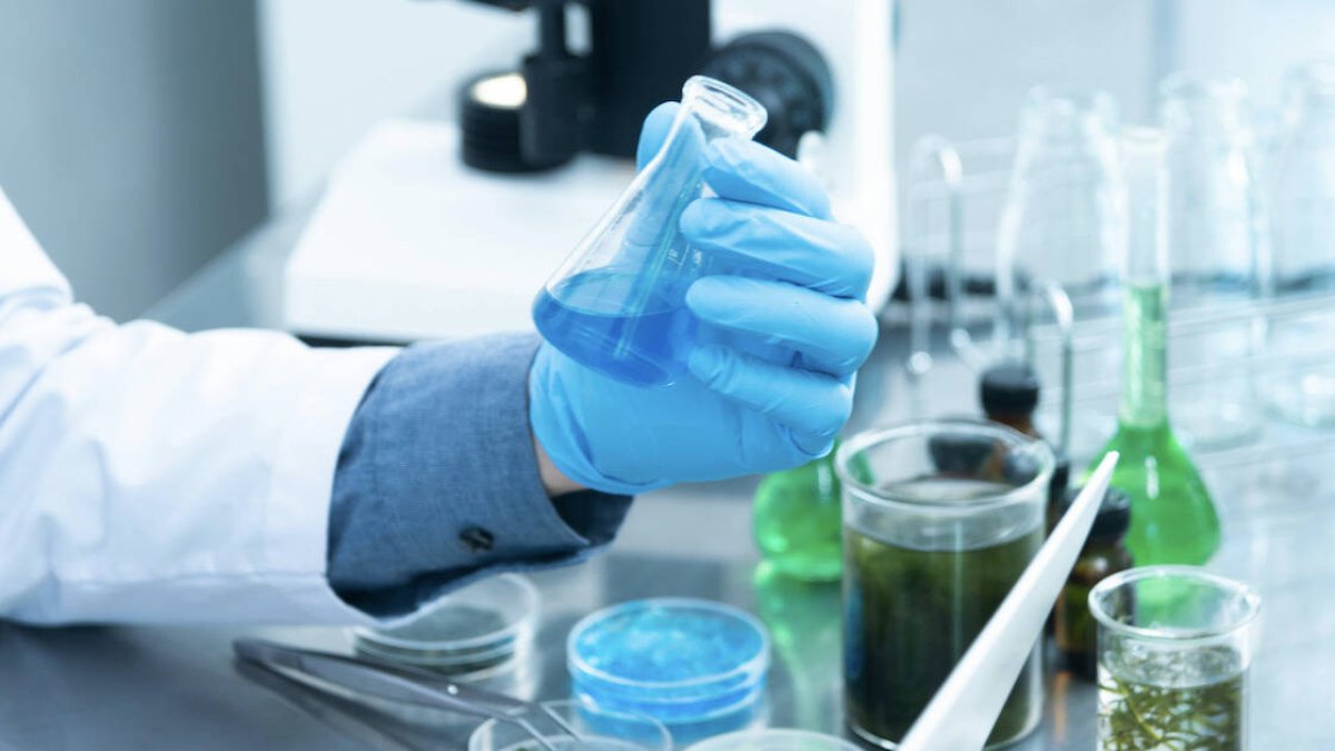 La Sociedad de Científicos Católicos cuenta actualmente con 2300 miembros distribuidos en 60 países.