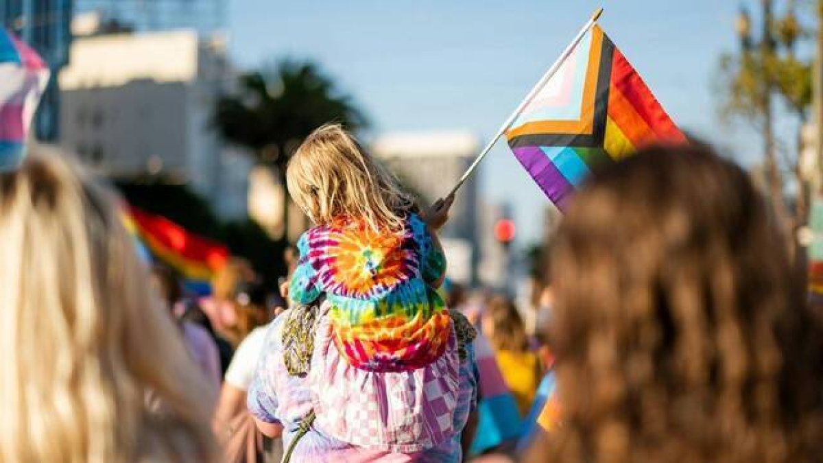 El pleno del Tribunal Constitucional suspende la vigencia y aplicación de los artículos impugnados, entre los que figura el que abre la puerta al asesoramiento psicológico o la evaluación psiquiátrica.