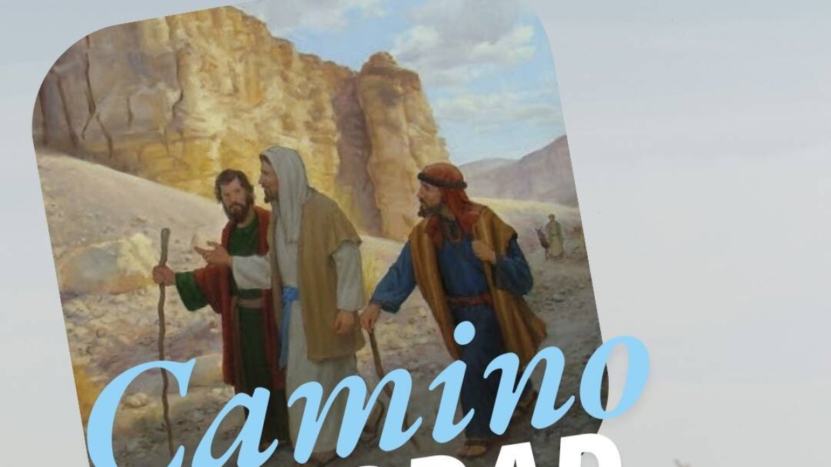 Hoy el reto del amor es que vivas como un niño, desde la certeza de que eres amado