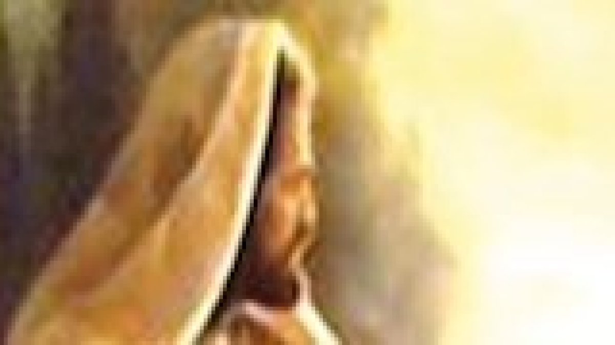 El primero, amarás a Dios sobre todas las cosas.