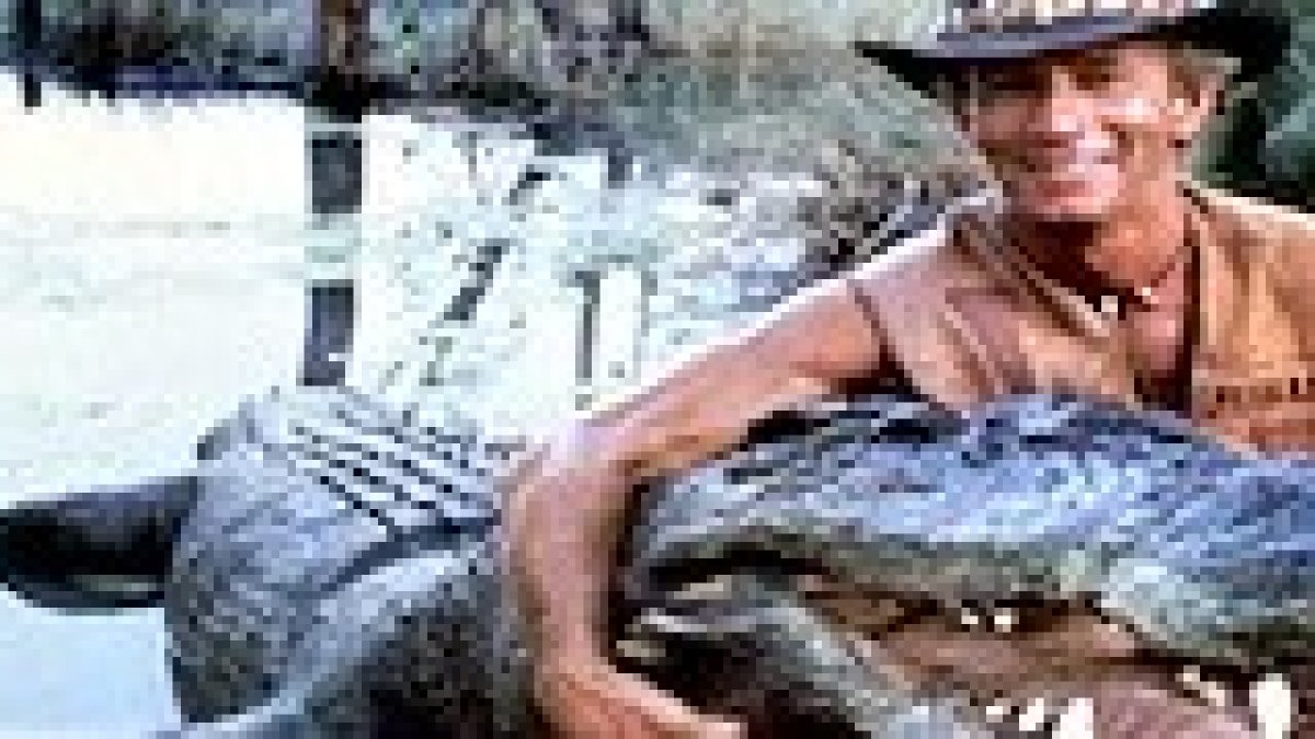 Un alivio para Cocodrilo Dundee.