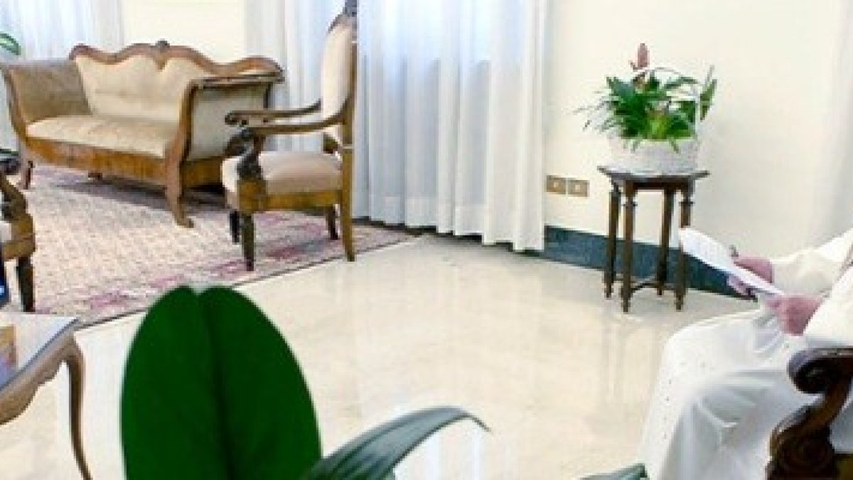 Francisco contempla las imágenes de un mexicano que le dedica una canción -escucha preguntas y expresa sus deseos para México