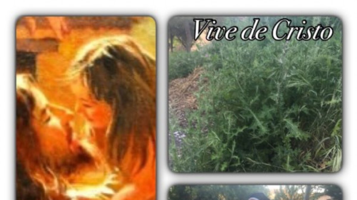 Hoy el reto del Amor es dar un paso más.