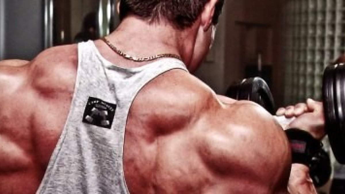 El pelagiano cree que se salva con esfuerzo y técnica y músculo, y el gnóstico con conocimientos o sentimientos... ambos se equivocan