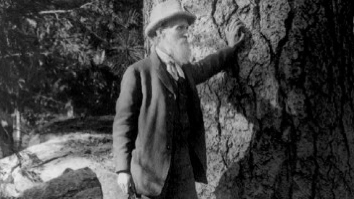 John Muir junto a los árboles, símbolo del misterio del hombre en relación con la Creación