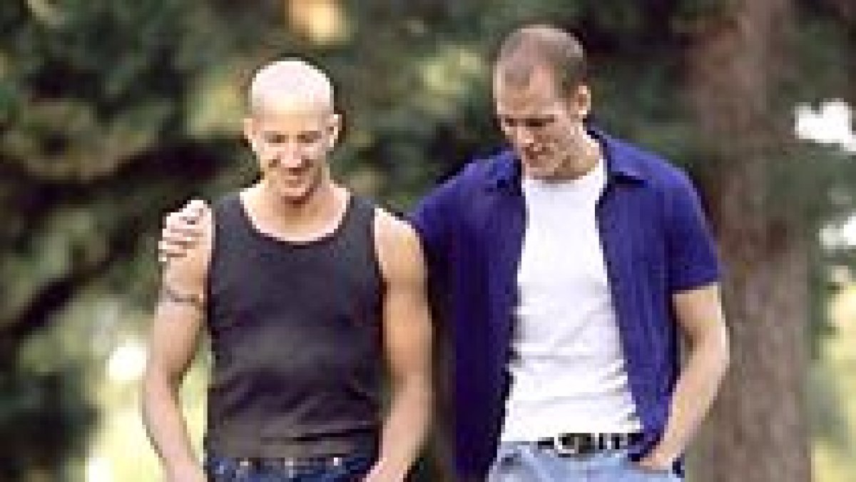 Doscientos estudios desaconsejan que los gays adopten niños