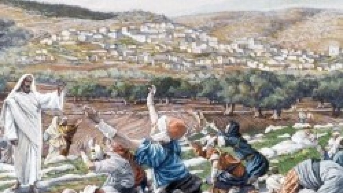 Jesús, maestro, ten compasión de nosotros.