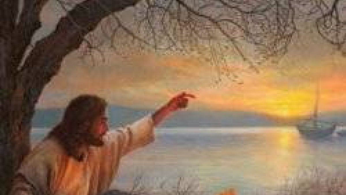 Echad la red y encontraréis