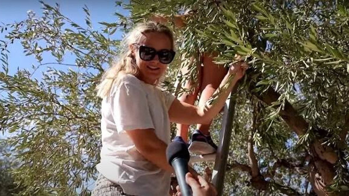 Una madre de familia sueca recoge aceitunas en el Huerto de los Olivos... la Iglesia tiene un uso para ellas