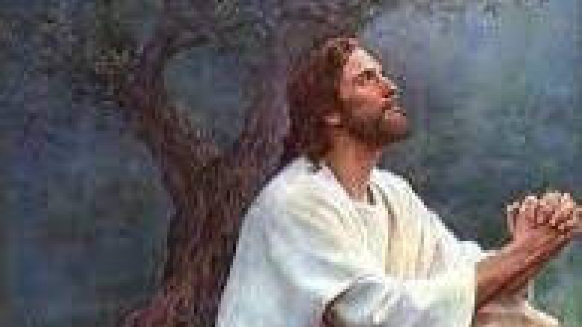 Venían a oírlo y a que los curara de sus enfermedades