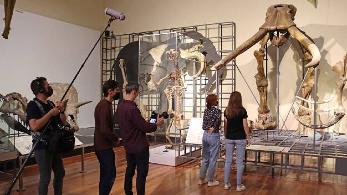 Rodaje del documental Evolución sobre el Museo Nacional de Ciencias Naturales... olvida a los clérigos y la fe de sus científicos