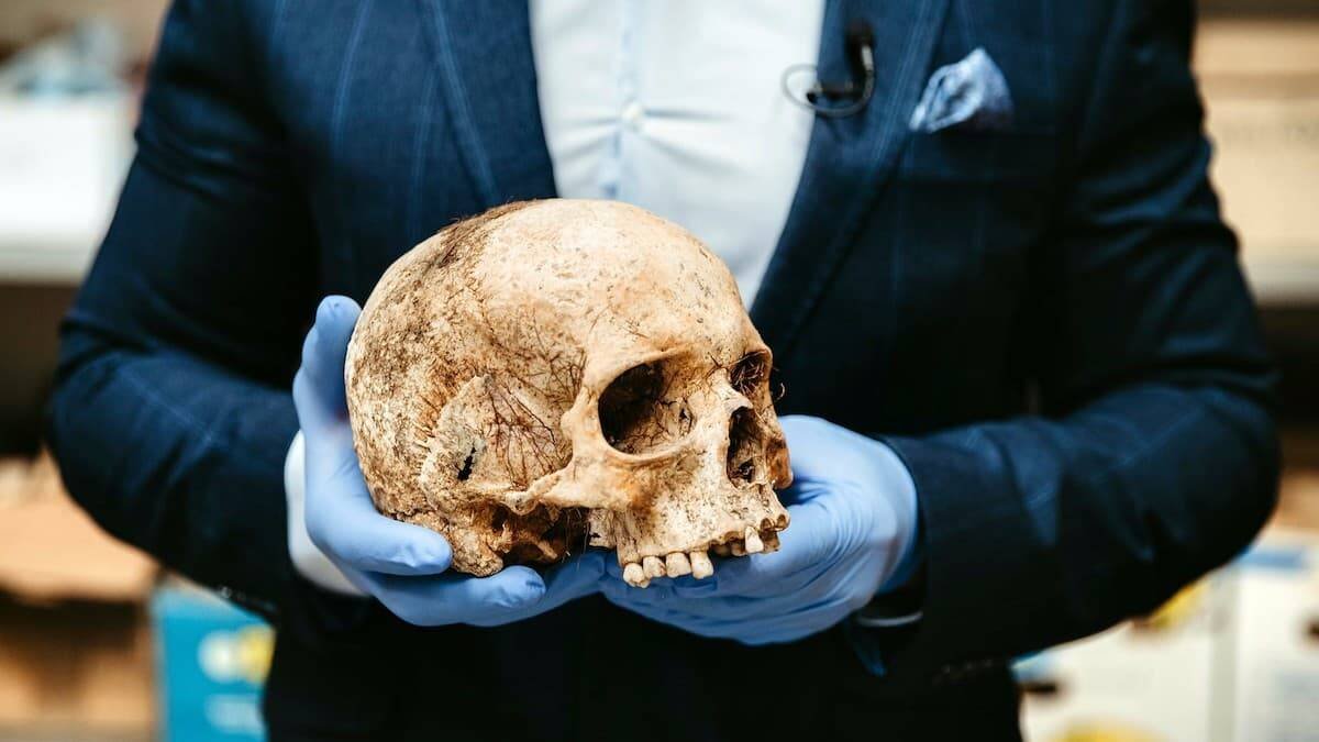 Cuando los arqueólogos y paleontólogos encuentran restos humanos, no hay género que valga: corresponden a hombres o a mujeres y nada más. Foto (contextual): Trnava University / Unsplash.