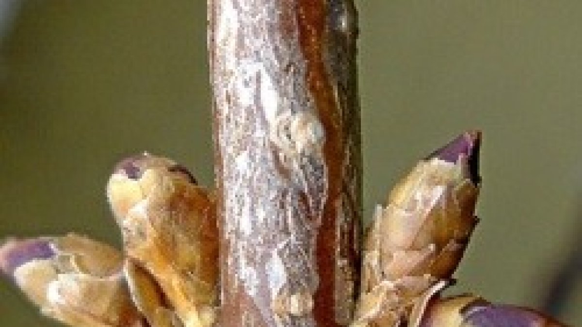 Conocéis... que está llegando el verano.