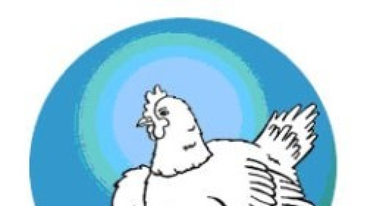 ...como la clueca reúne a sus pollitos bajo las alas