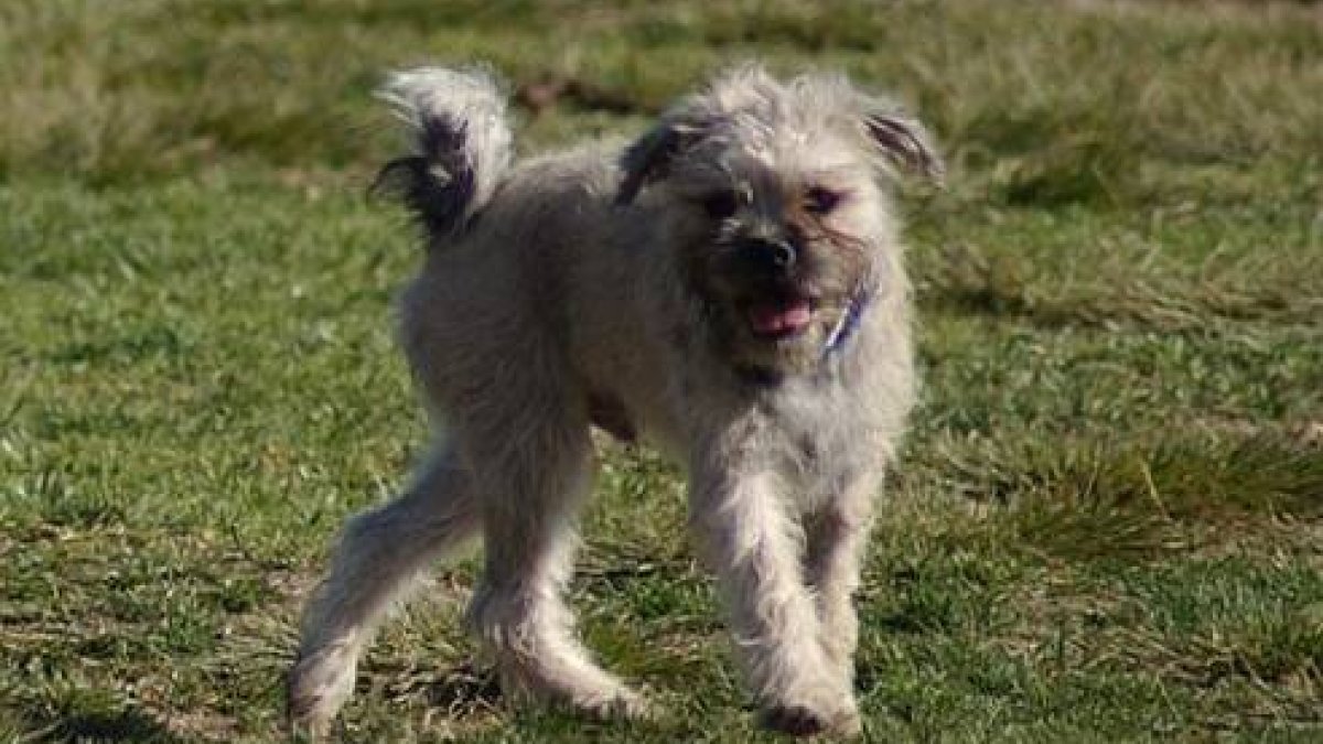 Un cuento de Navidad (pero triste)