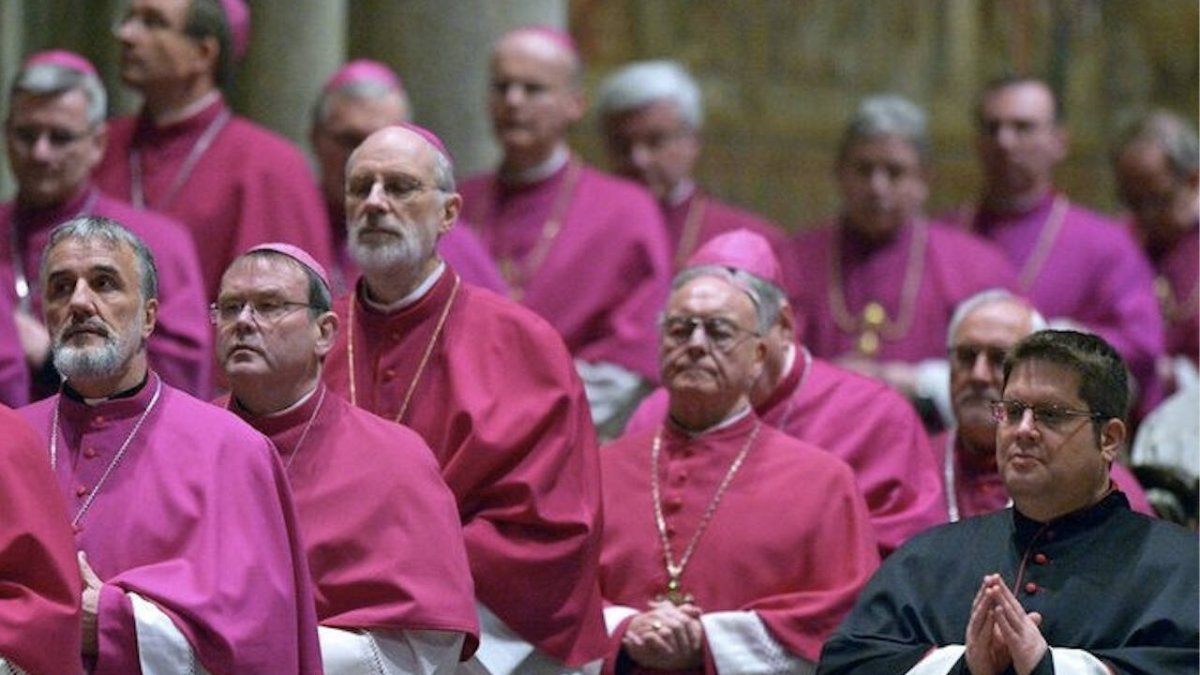 Los obispos son los principales maestros de la fe. Si consigo que enseñen doctrinas confusas, contradictorias o contrarias al Evangelio, puedo sembrar caos espiritual y desconcierto entre los fieles.