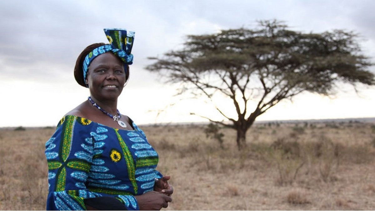 Wangari Maathai, doctora en Veterinaria, impulsó que se plantaran 50 millones de árboles y fue la primera africana en conseguir un Premio Nobel