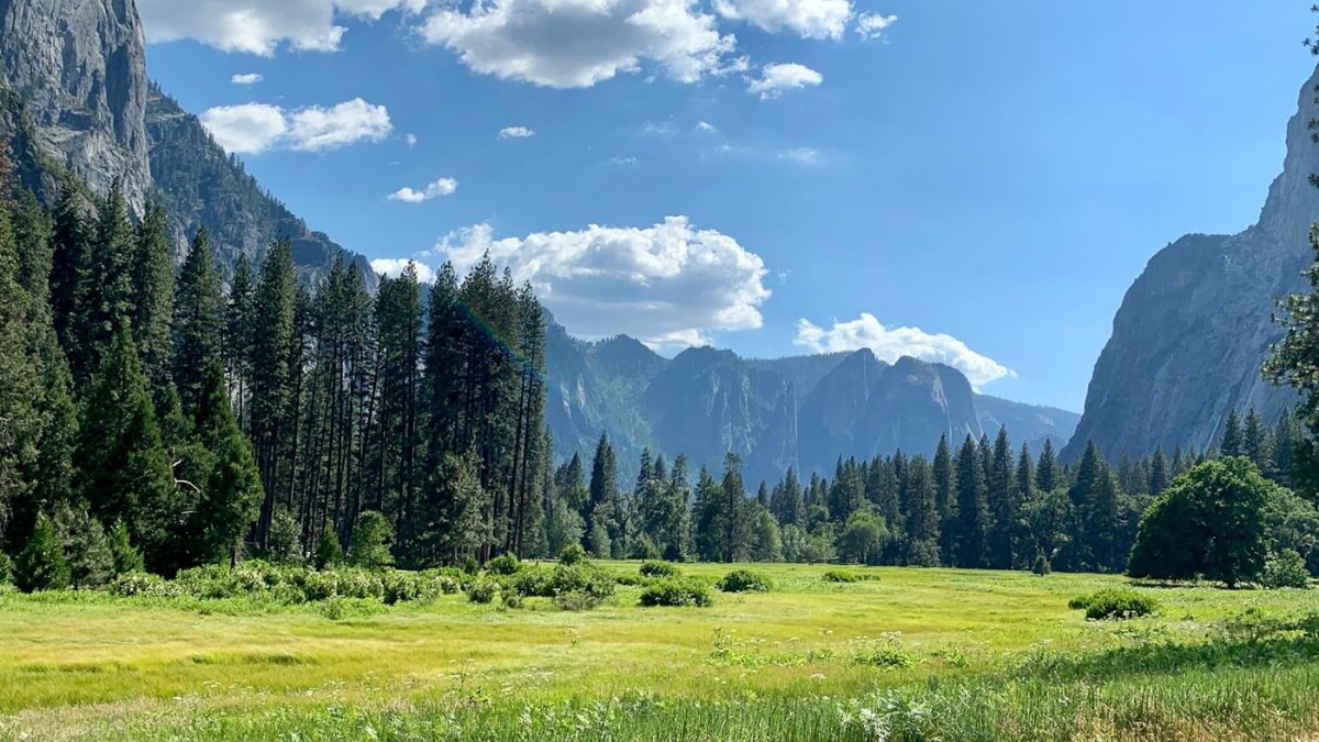 La próxima vez que nos sintamos perdidos por el aparente silencio de Dios, podríamos simplemente contemplar sus obras.